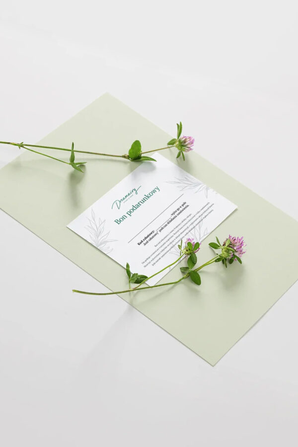 Bon podarunkowy Dreamairy